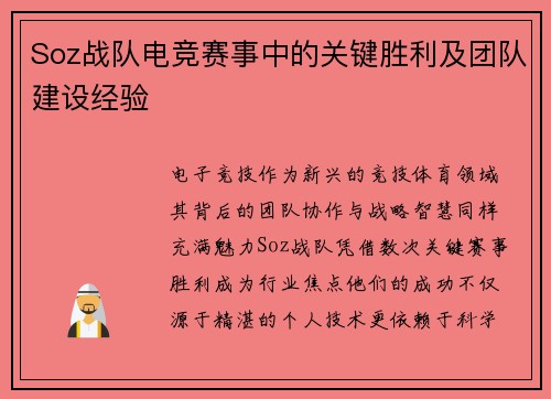 Soz战队电竞赛事中的关键胜利及团队建设经验