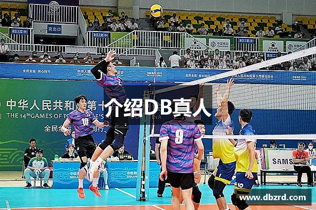 介绍DB真人